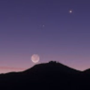 Meet your Posher, Sireethorn